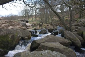 padley