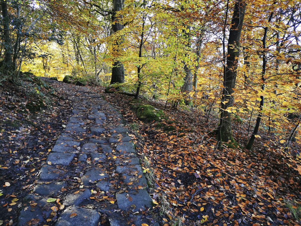 autumn path