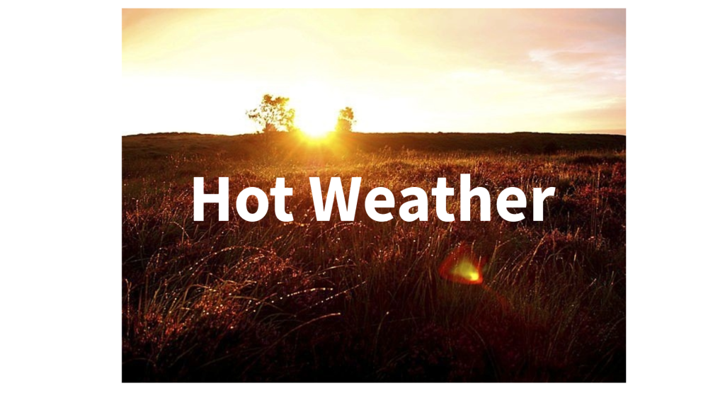 hot weather