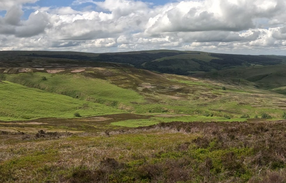 Peat Moorland